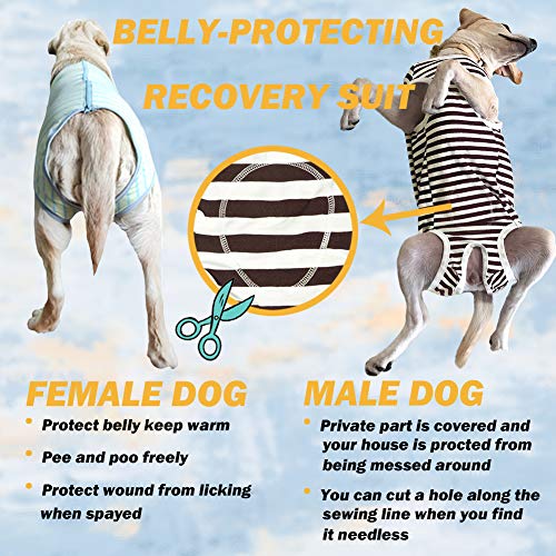 Dog’s Recovery Suit Post Surgery Shirt for Female Male Dog (xl / green stripe)