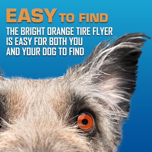 Atomic Flyer Outdoor Dog Toy (Orange / 10 Inch)