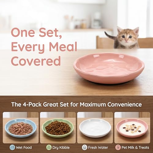 4 Pack Cat Food Bowl