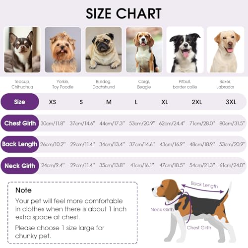 Small Dog Sweater (Purple / Small)