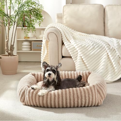 Dog Bed for Medium Small Size Dog (Beige / S Plus(25"Lx21"Wx7"Th))