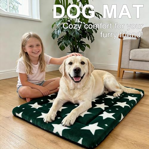 Dog Bed Mat Soft & Comfortable Dog Kennel Pad for Crate (L(35"*23"*1.5") / Big&Little Stars Green-1pc)