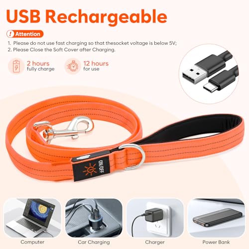 LED Dog Leash (Orange)