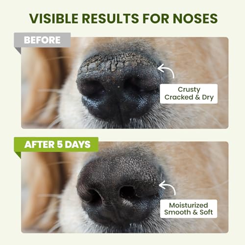 Lick Safe Dog Paw & Nose Balm with Coconut Oil (1.3 oz)