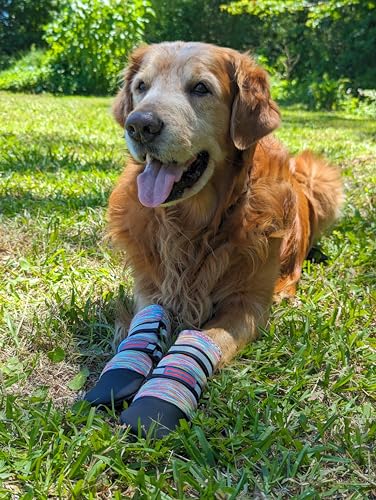All Weather Neoprene Paw Protector Dog Boots with Reflective Straps in 5 Sizes! (XXL)