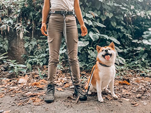 Hands Free Bungee Dog Leash - PetSolution