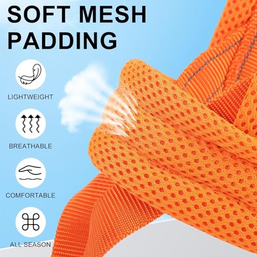 Small Dog Harness and Leash Set (Orange / XS: Chest 15"-18")