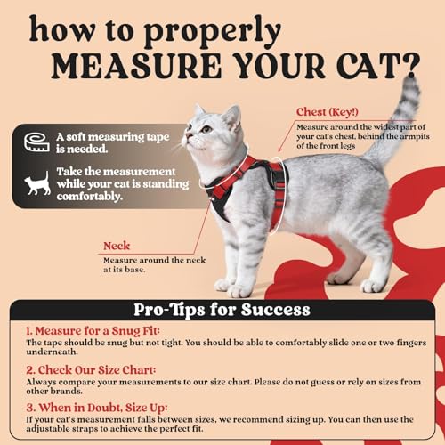 Cat Harness and Leash Set (S / Black & Red)