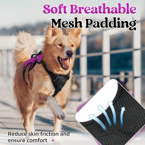 Escape Proof Dog Harness for Large (Purple / Large)