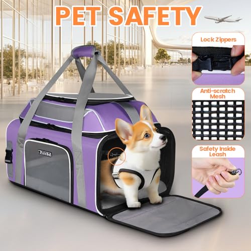 Top and Side Expandable Pet Carrier Airline Approved (Purple with Side Expandable)