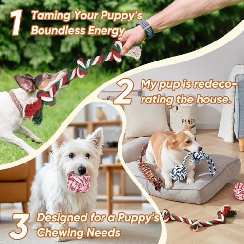 Dog Rope Toys 7 Pack (Small)
