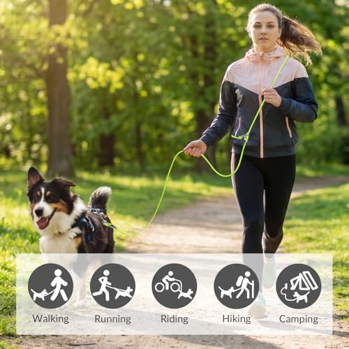 8.2ft Hands Free Dog Leash (Green)