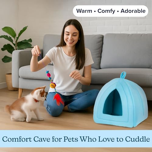 Cat House Indoor Bed with Removable Foam Cushion (Blue)