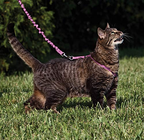 Come with Me Kitty Harness and Bungee Cat Leash (Large (Pack of 1) / Dusty Rose)