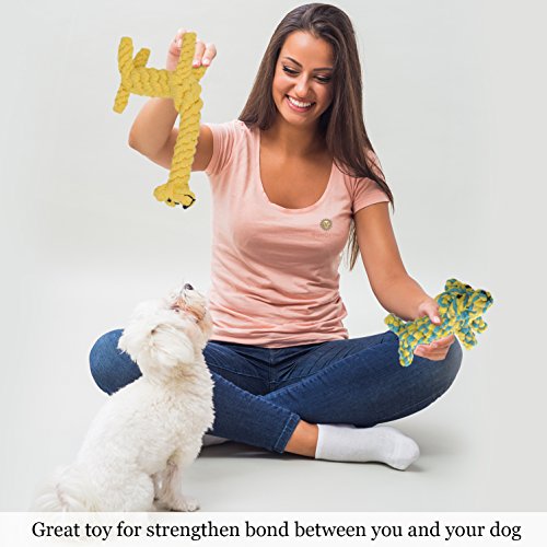 Cotton Rope Dog Toys
