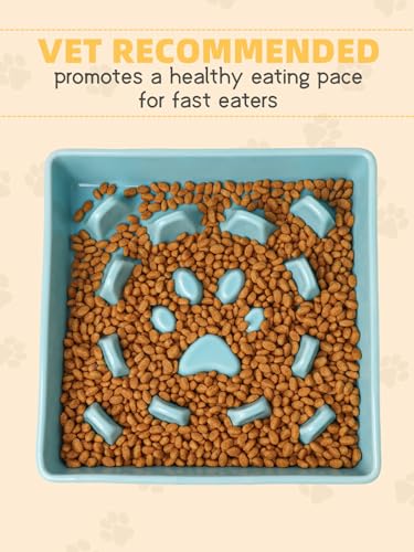 Ceramic Dog Slow Feeder Bowls (Turquoise / M-1.8 Cups)