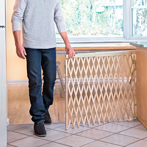 Expansion Walk (Natural Wood)