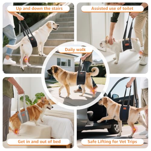 Portable Dog Sling for Medium Dogs Hind Leg Support Weak Rear Legs (Dark Blue&Apricot / Medium)