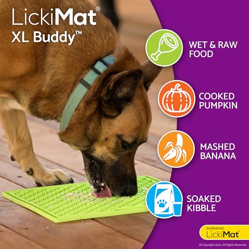X Large Breed Buddy Dog Lick Mat (Turquoise)