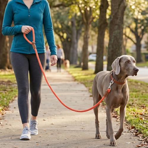 Dog Leash Braided Cotton Rope w (Orangeade / 48 Inch-1/2")