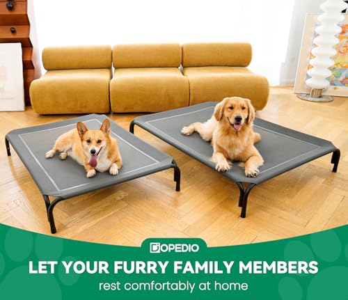 Elevated Dog Bed Outdoor Cooling Raised Cot for XL Dogs (XXL-53.9"L×35.8"W×7.9"Th / Grey)