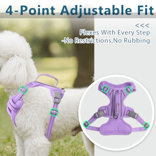 No Pull Dog Harness for Small Sized Dogs (X-Small(Chest:15.5-19.5”) / Violet Purple)