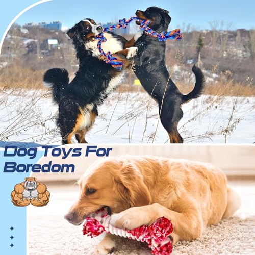 Dog Chew Toys for Aggressive Chewers (5 Packs / Large)