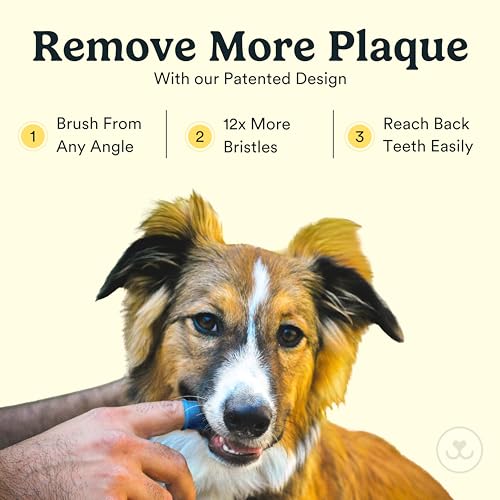 Dog Toothbrush (Pink (2-pack))