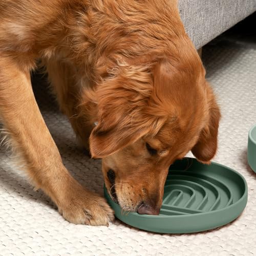 Slow Feeder Dog Bowl (Spruce - Rainbow Design / Large (9.5” Across and 1.5” Tall))