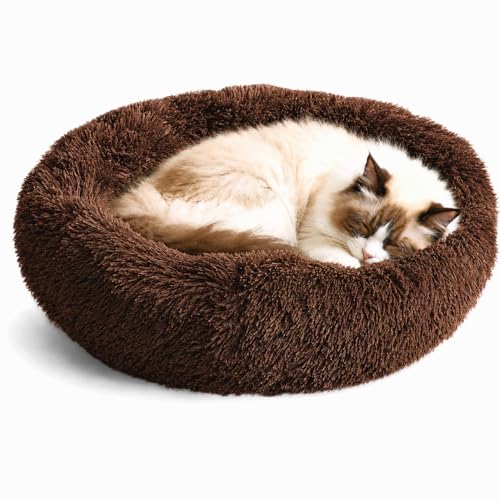 Cat Beds for Indoor Cats & Small Dog (Chocolate / 23.00" x 23.00" x 7.00")