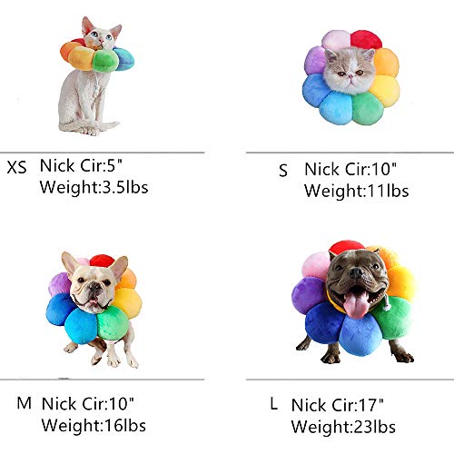 Adjustable Recovery Collar (M)