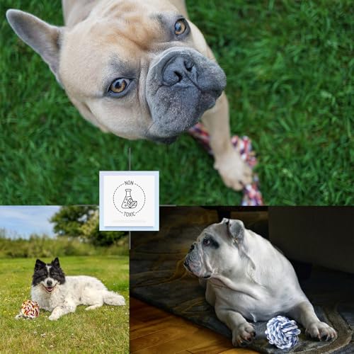 Small Dog Rope Toys