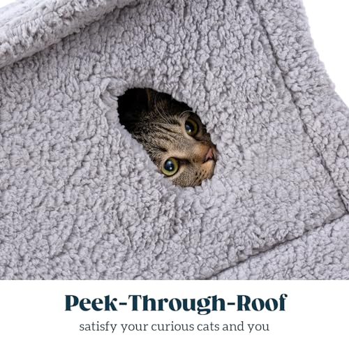Cat Houses for Indoor Cats (Snow House)