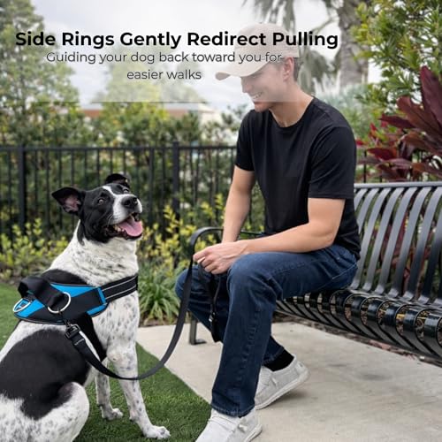 Essential Dog Harness (Oceanic Blue / XS)
