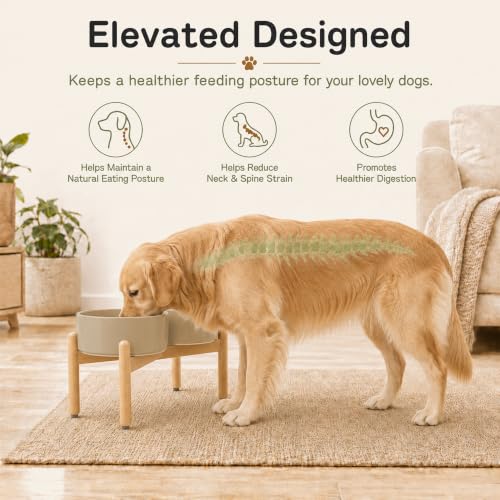 Ceramic Dog Bowls Elevated (Greige)