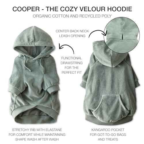 Cooper II Dog Hoodie (Sage / XX-Large (70-110 lbs))