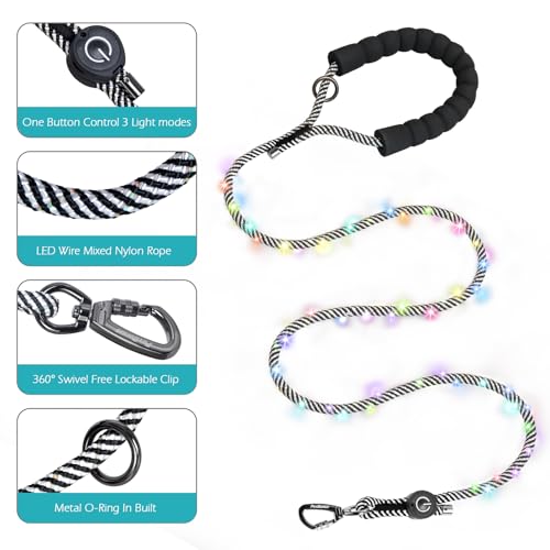 5FT Light up Dog Leash