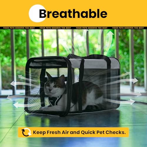 Soft Sided Cat Carrier for Small (17.0"L x 11.0"W x 11.0"H / Grey)
