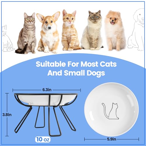 Ceramic Elevated Cat Bowls (raised dish,2 pack / line cat)