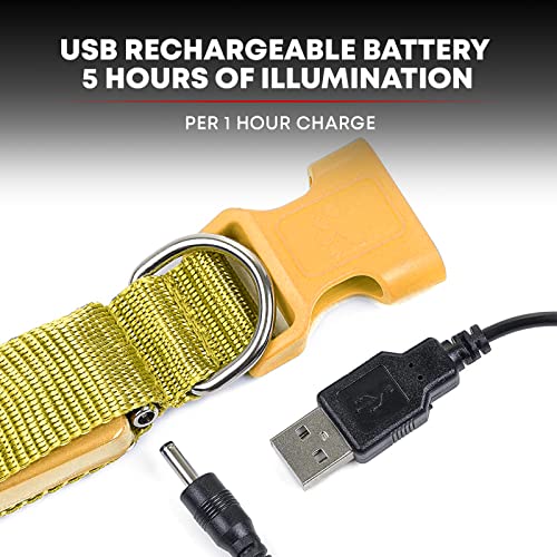 LED Light Up Dog Leash (4 Feet / Sunburst Yellow)