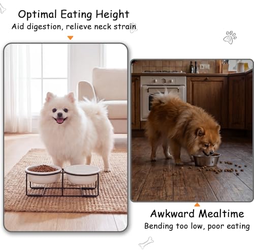 Ceramic Elevated Dog Bowl Set (Matte White / S × 2)