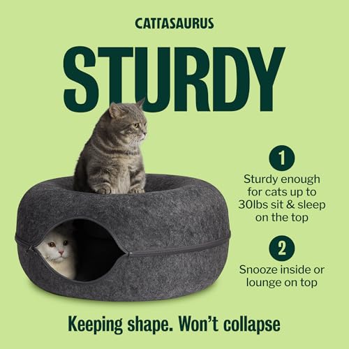 Peekaboo Cat Cave Donut for Multiple & Large Cats up to 30 (Dark Gray + Dark Gray / Large)