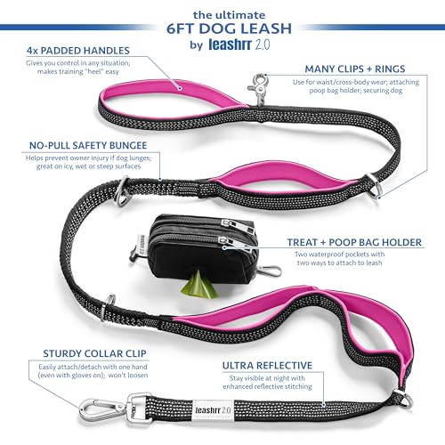 Heavy Duty Dog Leash for Large Dogs (Orange)