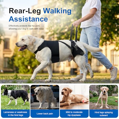 Dog Hip Dysplasia Brace with Back Lift Strap (M)