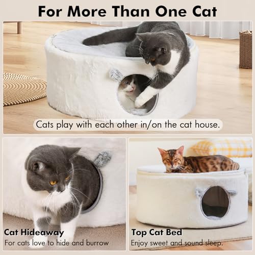 Enclosed Cat House for Indoor Cats