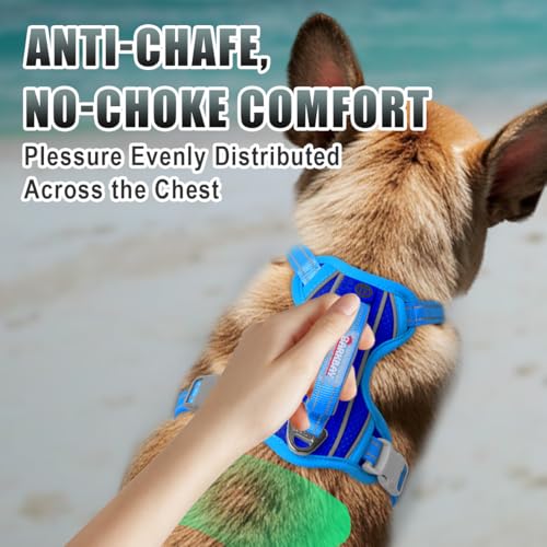 Dog Harness for Small Sized Dog No Pull Dog Vest ID Tag Pocket (Sapphire Blue & Blue / Small)