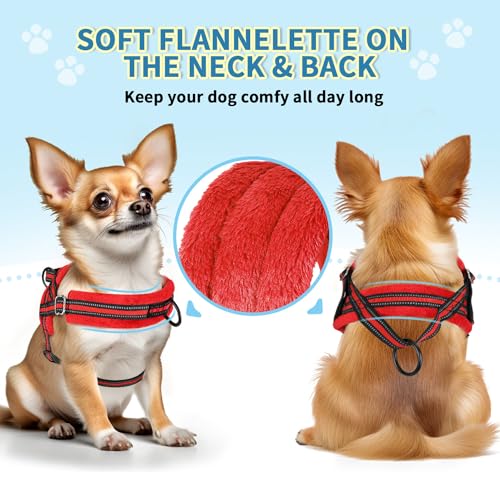 No Pull Small Dog Harness and Leash Set with Front Clip (Small / Red)