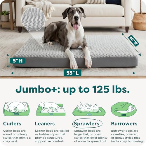 Orthopedic Dog Bed for Large Dogs (Jumbo Plus / Gray)