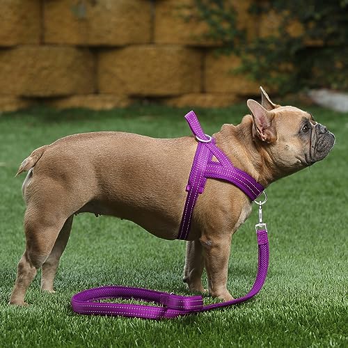 No Pull Dog Harness for Large Dogs (L: chest 25.2"-32.3" / Purple)