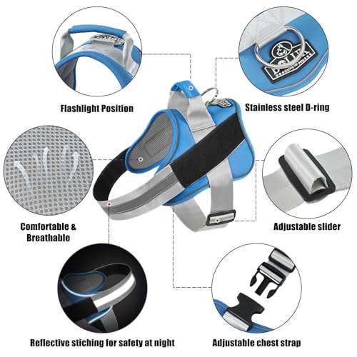 Dog Harness No (Large (Pack of 1) / BluePool)